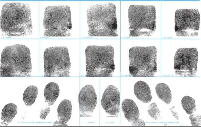 fingerprint